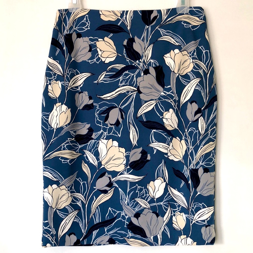 NWOT BANANA REPUBLIC SKIRT BLUE FLORAL SIZE 2